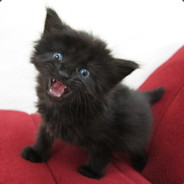 Ryan Patridge - steam id 76561197961519076