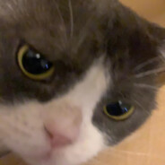 盒仔