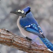 edpoopstuff