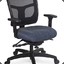 Professional Chair