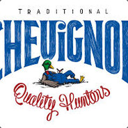 CheVigNon-Stein