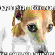 Фифочка